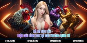 Đá gà cựa sắt