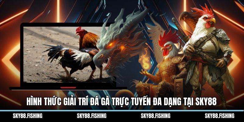 Hình thức giải trí đá gà trực tuyến đa dạng tại Sky88