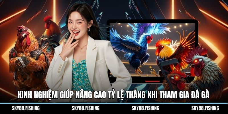 Kinh nghiệm giúp nâng cao tỷ lệ thắng khi tham gia đá gà