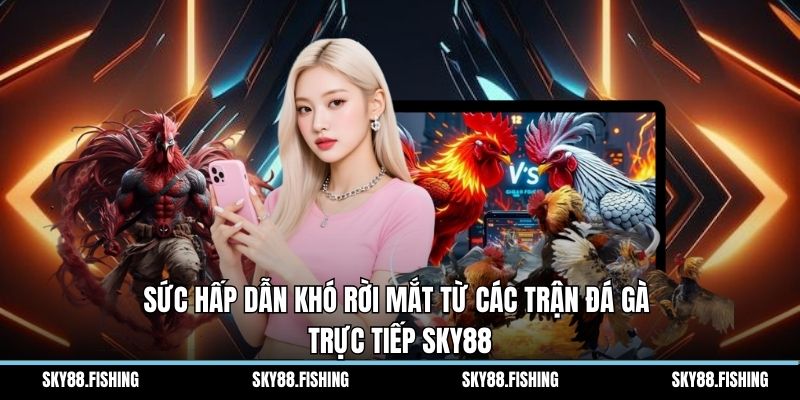 Sức hấp dẫn khó rời mắt từ các trận đá gà trực tiếp Sky88